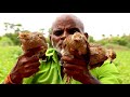 Teetar Birds Recipe | Partridge Curry Cooking | Hen Hatching partridge Eggs By Chicken