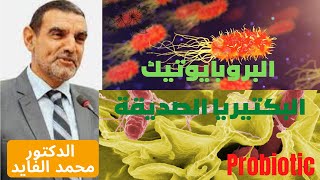 تعرف على اهمية ودور البكتريا النافعة الدكتور محمد فائد   البروبايوتيك  أو البكتيريا الصديقة