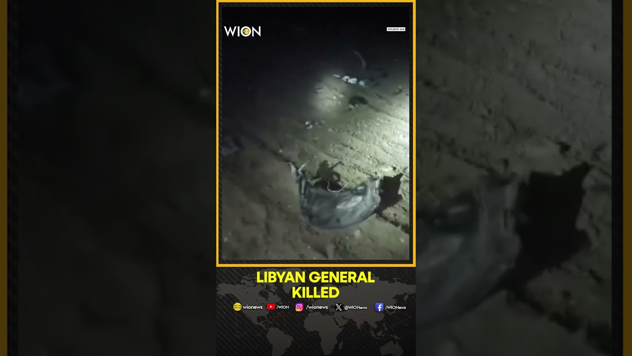 Libyan Army Chief Killed in Jet Crash Near Ankara | WION SHORTS