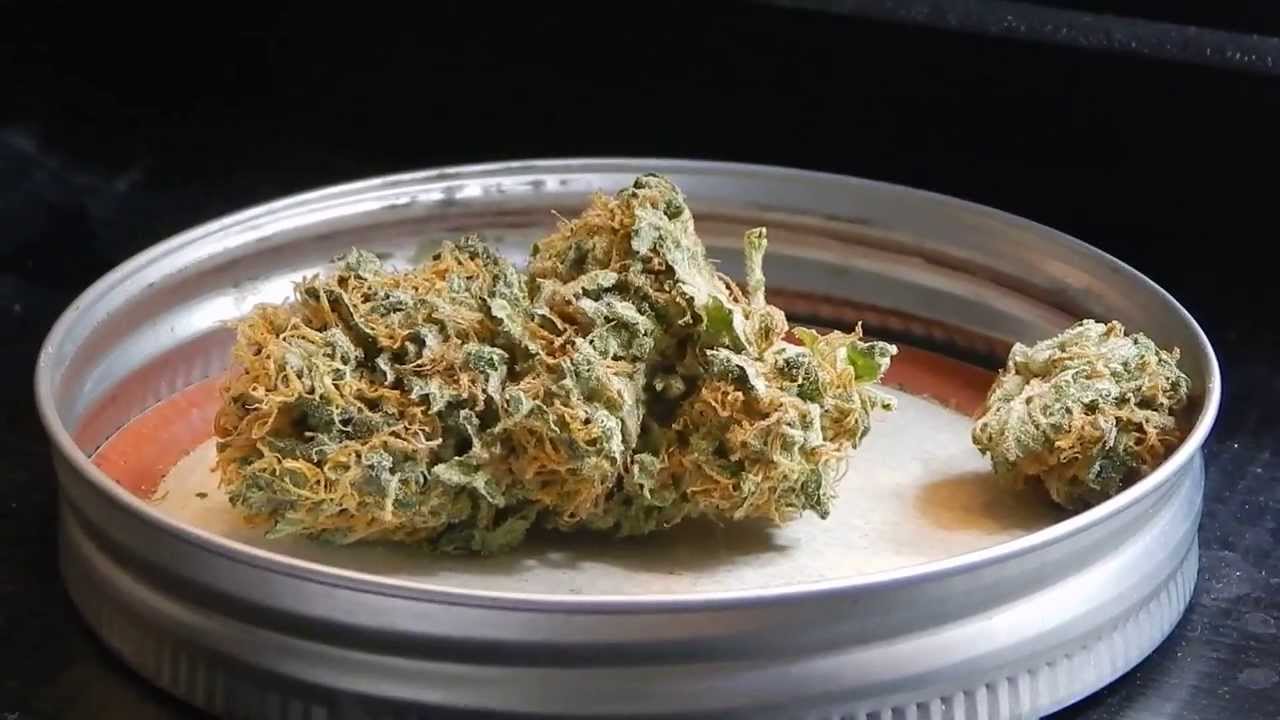 Sick Local Blown Glass