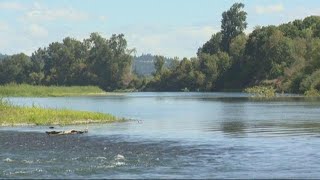 Body of woman found in Willamette River