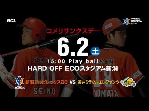 新潟アルビレックスBC6月2日3日 試合告知.wmv