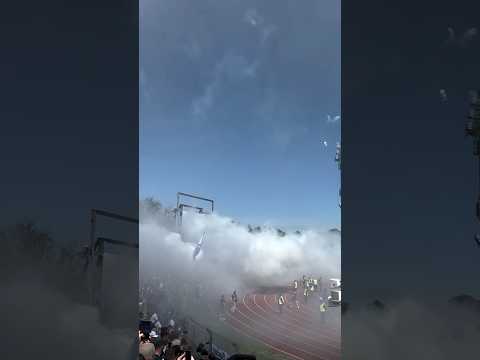 FC Magdeburg away
