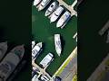 Selene Classic Explorers Dock at Bahia Mar Marina in Ft. Lauderdale