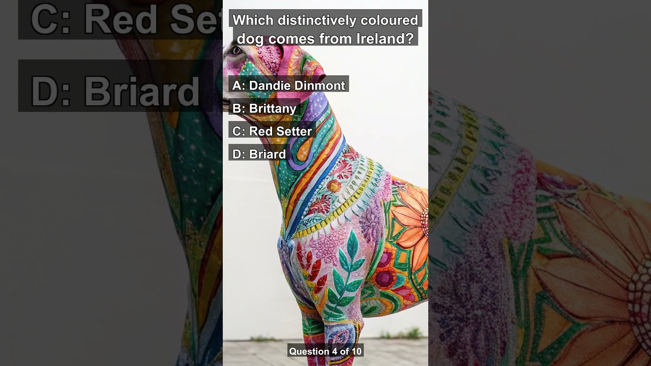 Test Your Knowledge Fun And Fascinating Trivia Quiz Challenge