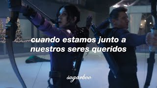 Cancin Del Trailer De Hawkeyeandy Williamsits The Most Wonderful Time Of The Year sub Espaol