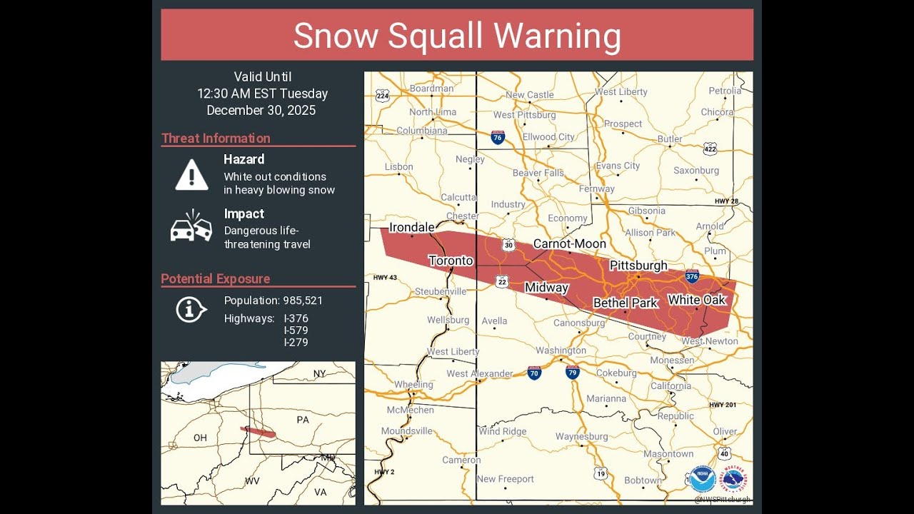 Snow Cam Footage: Snow Squall Warning - 12/29-30/25