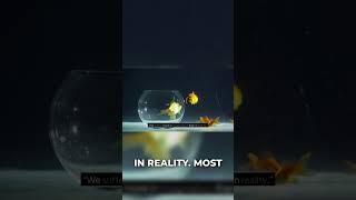 Stop Future-Tripping! Seneca's #1 Anxiety Hack