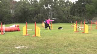 Penni's Agility Runs 9/6/13