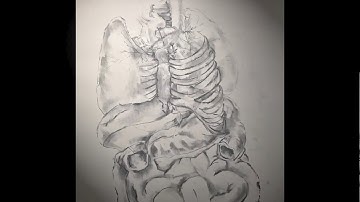 2019 Calarts Experimental Animation(Accepted+Scholarship) - Recipe of Me