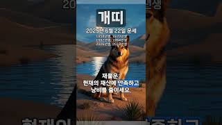 [2025년 6월 22일 개띠 오늘의운세] 만족할 줄아는 지혜가 필요하다. #개띠 #운세 #오늘의운세 #토정…