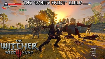 The Witcher 3 | The "White Frost" build | Flawless showcase