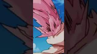 Vegito Goes Full Power