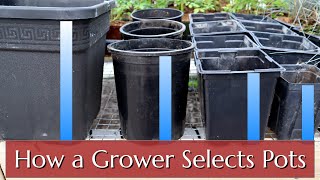 How a Professional Grower Selects Pots & Trays