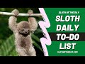 Sloth daily todo list from sloth of the day