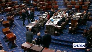 Mitch McConnell is seen on Senate floor shaking hands