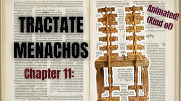 An Animated Summary of the Entire Talmud | Book 31, Chapter 11