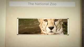 Econo Lodge Metro - Local Attractions