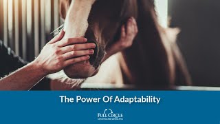 What Animal & Human Adaptability Can Teach Us | The Power Of Adaptability For Chiropractors
