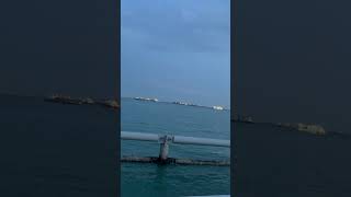 Seaside view Marina #shortsfeed #shortsvideo #sea #seaside
