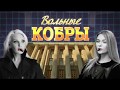 Вольные кобры. Гадание на Таро... Кто он - следующий Президент Украины?