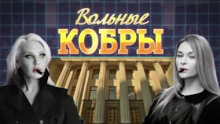 Вольные кобры. Гадание на Таро... Кто он - следующий Президент Украины?