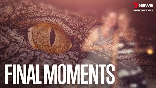 Horror crocodile attack: Cindy Waldron's final moments revealed by 7NEWS Spotlight 39,388 views 4 months ago 25 minutes