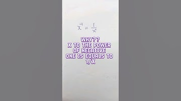 Mystery behind x to the power negative 1 || maths | #shorts #maths