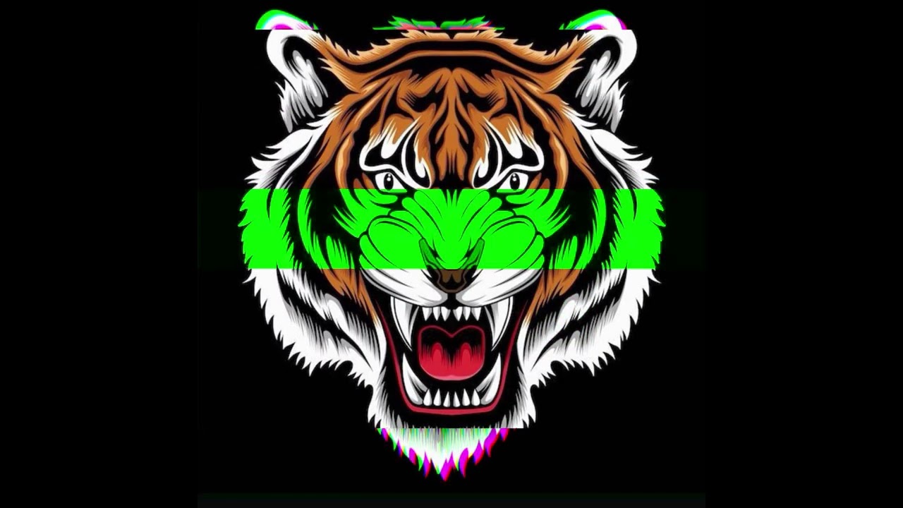 DILAN TEER BIJA (EDM DROP) - BENAZIR BHUTTO | DJ REMIX | TRANCE