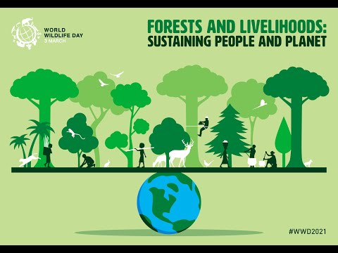 World Wildlife Day 2021 - Forests and Livelihoods: Sustaining People and Planet