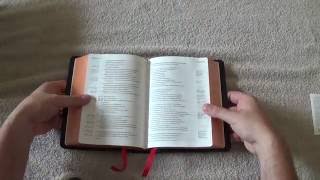 Cambridge ESV Clarion Black Goatskin Review & Ranking (28)