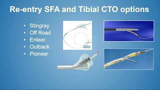 CVI 2019_Thursday 7/18_ Masters Approach to CLI I_Tony Das, MD