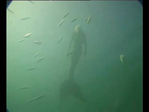 Mermaid filmed in Australia