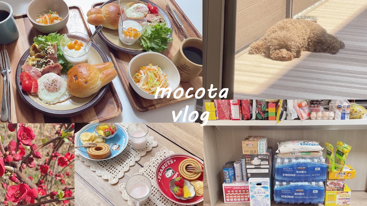 〔VLOG〕備えを考えながら1日1日を楽しく過ごす主婦の日常／ゆずのロンパース完成／購入品紹介