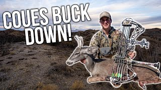 Hunting the Southern Border! Archery Coues Deer Hunting! (FT S9 EP.11)