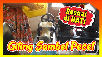 Mesin Giling Sambel Pecel Disk Mill 4 in 1 membuat sambel pecel sendiri