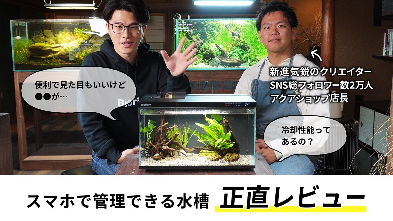 正直レビュー】水槽屋oAsisさんにぶっちゃけスマート水槽ってどうなの