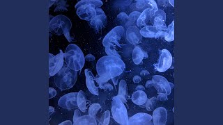 Ambient Cinematic
