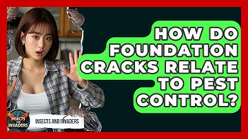 How Do Foundation Cracks Relate To Pest Control? - Insects and Invaders