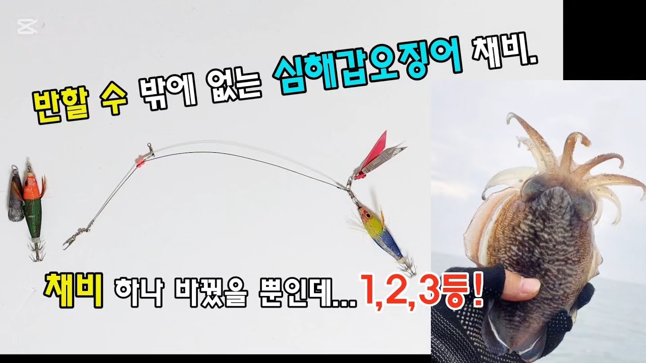제주도 심해 갑오징어가짓줄 마법의 채비를 소개할게요.#심해갑오징어#갑오징어채비#제주도갑오징어