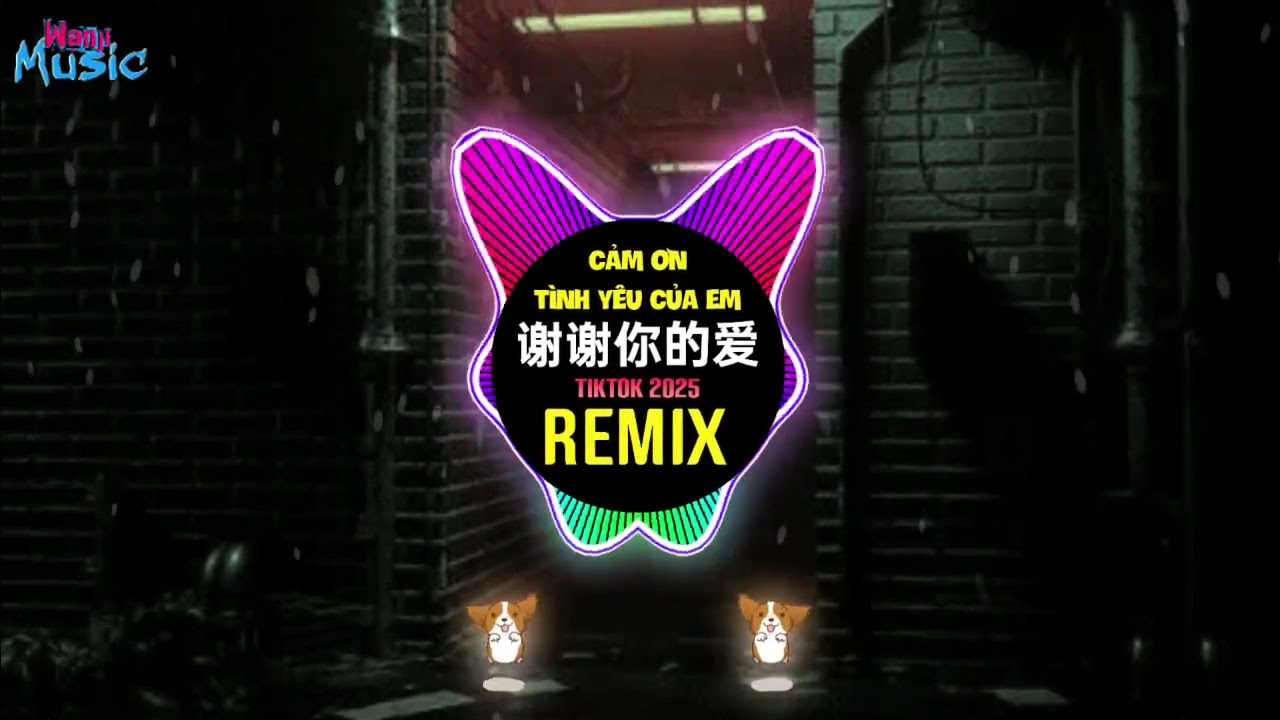 谢谢你的爱 (空灵鼓dj) (DJ He He x DJAQ Remix 2025) Cảm Ơn Tình Yêu Của Em (Wanji Edit Remix Tiktok) - 抖音DJ盒盒