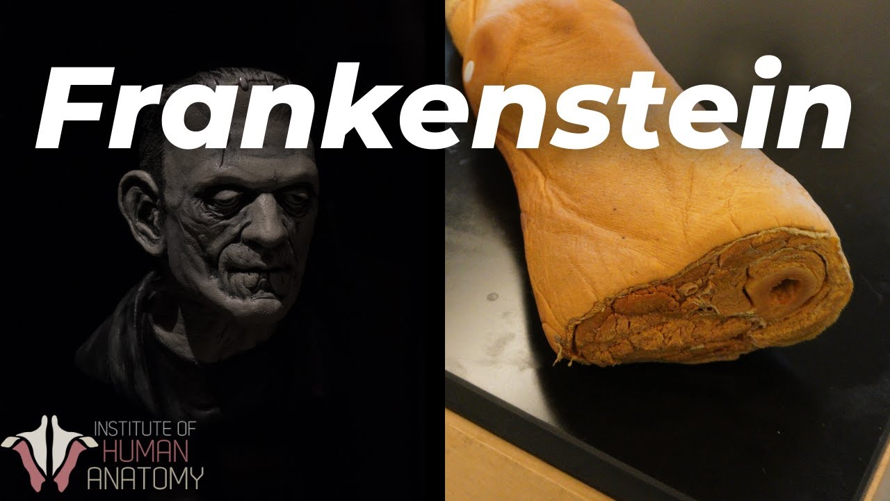 Can We Actually Build FRANKENSTEIN's Monster?