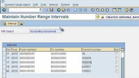 SAP FICO VIDEO TRAINING TUTORIALS 0041 CREDIT MEMO POSTINGS ECC6 - BAYISETTI