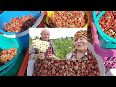 Букет за рекордное