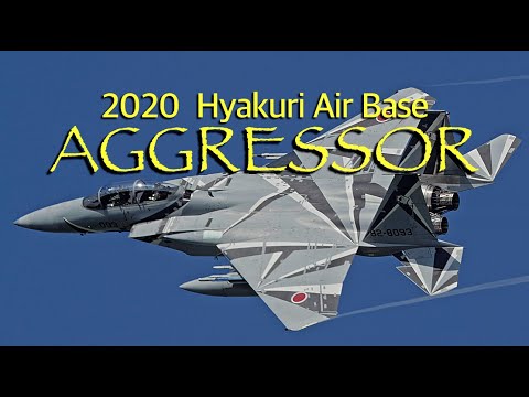 Dear Cobras・JASDF F-15DJ Eagles AGGRESSOR - ASMR