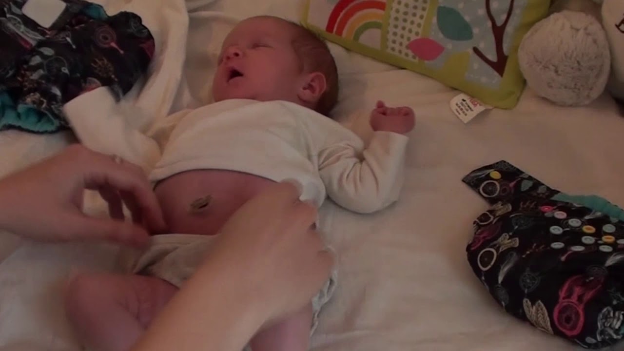 איך משתמשים בחיתולים רב פעמיים מידה NB של בייבי קואלה