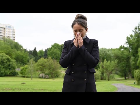 Victorians living in Canada's worst city for tree pollen allergies