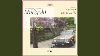 Under The Moon - Marigold