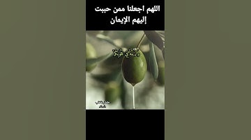 ولكن الله حبب إليكم الإيمان و زينه في قلوبكم 💚 من سورة الحجرات الشيخ عبد الباسط عبد الصمد