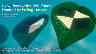 New Underwater Soft Robots Inspired by Falling Leaves
